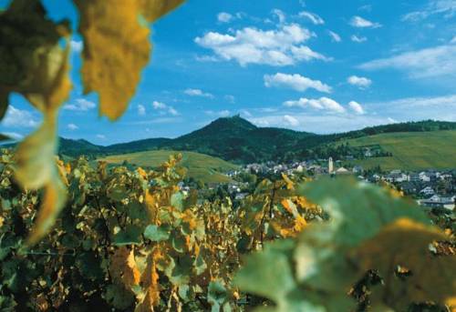 Steigenberger Icon Europaeischer Hof 5* Baden-Baden